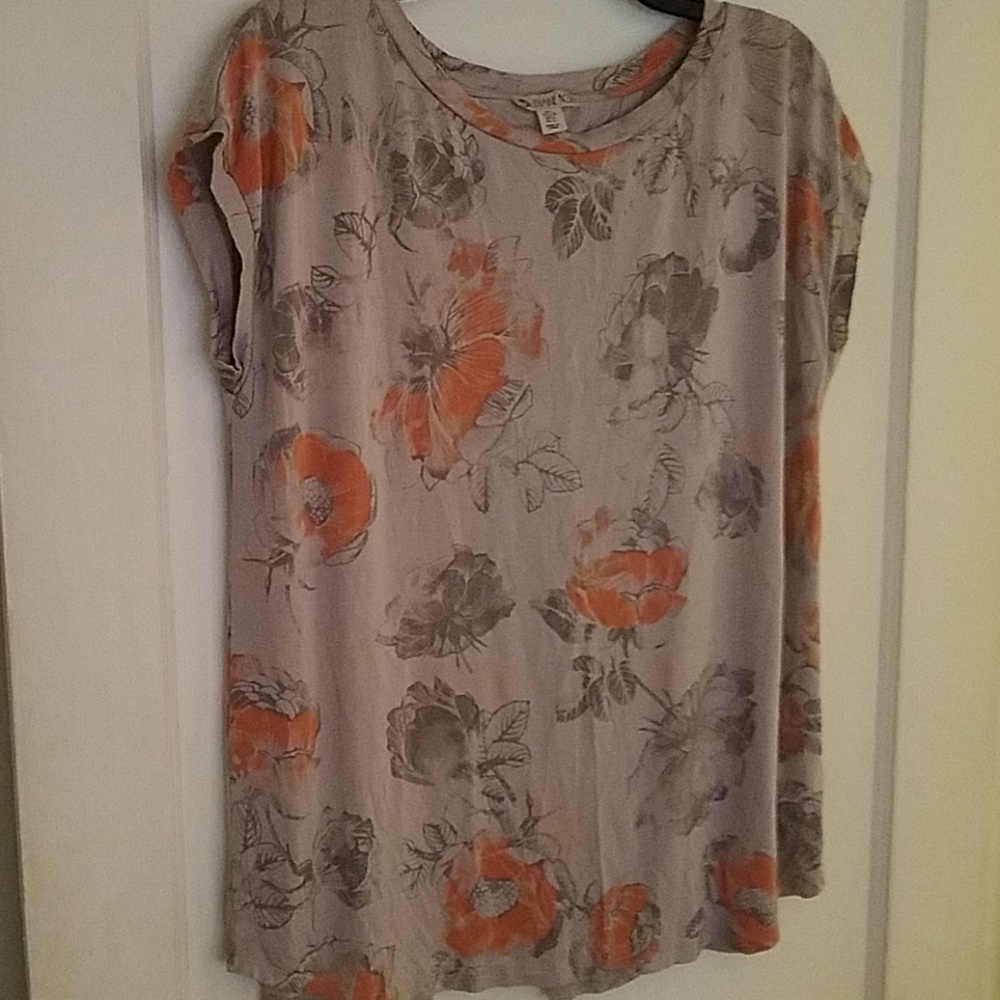 Eliane Rose Top